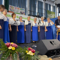xxviii bihari szamado napok51