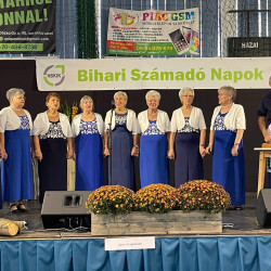 xxviii bihari szamado napok52