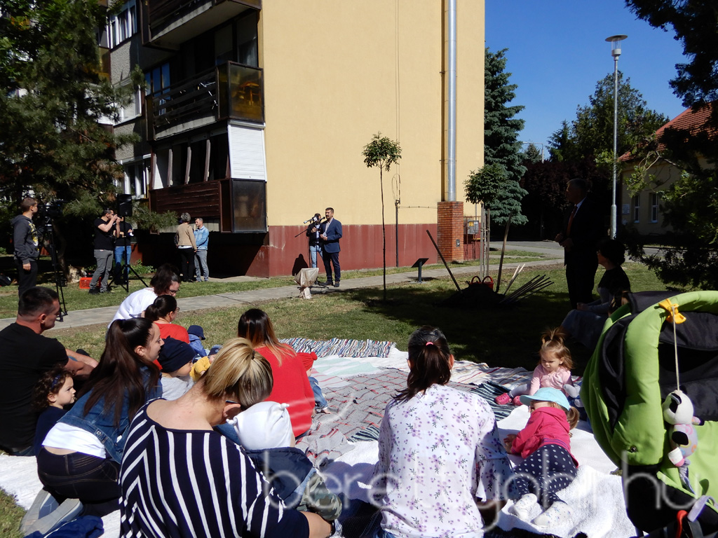 Életfa ültetés a város napján 21