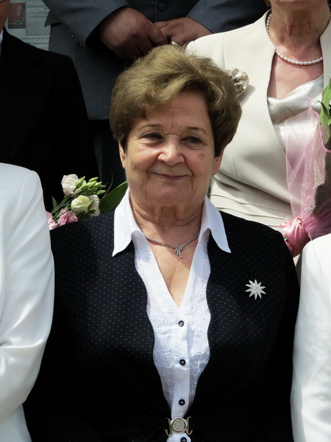 A város napja 2017. 05. 23. 135