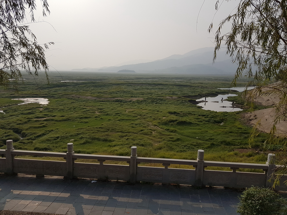 bagoly tiborék kínában 05