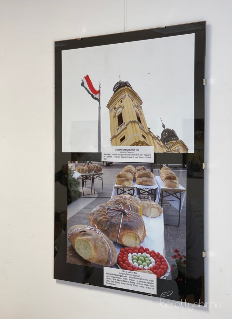 Bihari_fotoriporterek_2022-es_tarlata15