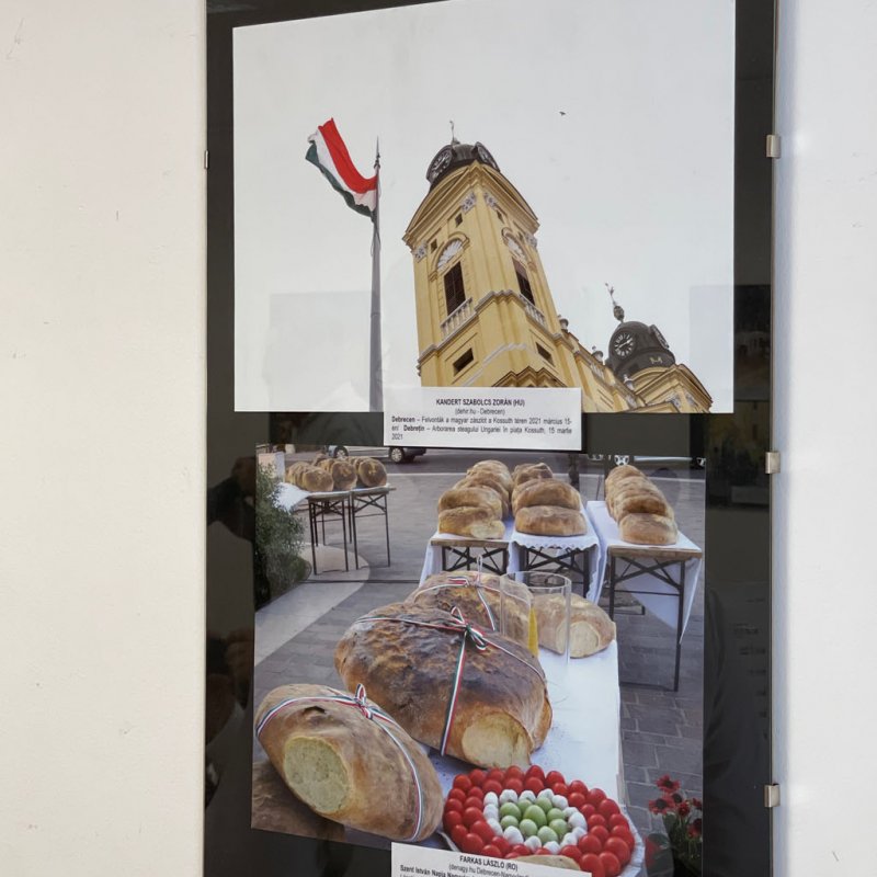 Bihari_fotoriporterek_2022-es_tarlata15