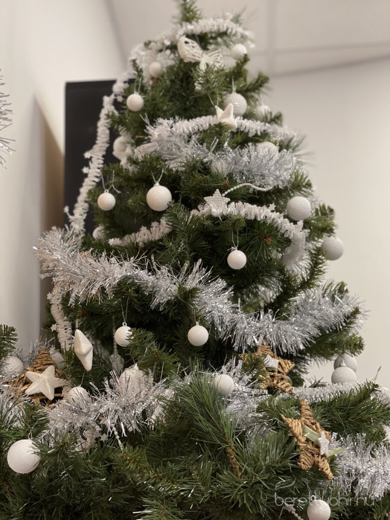 bihari_csaladsegito_karacsony19