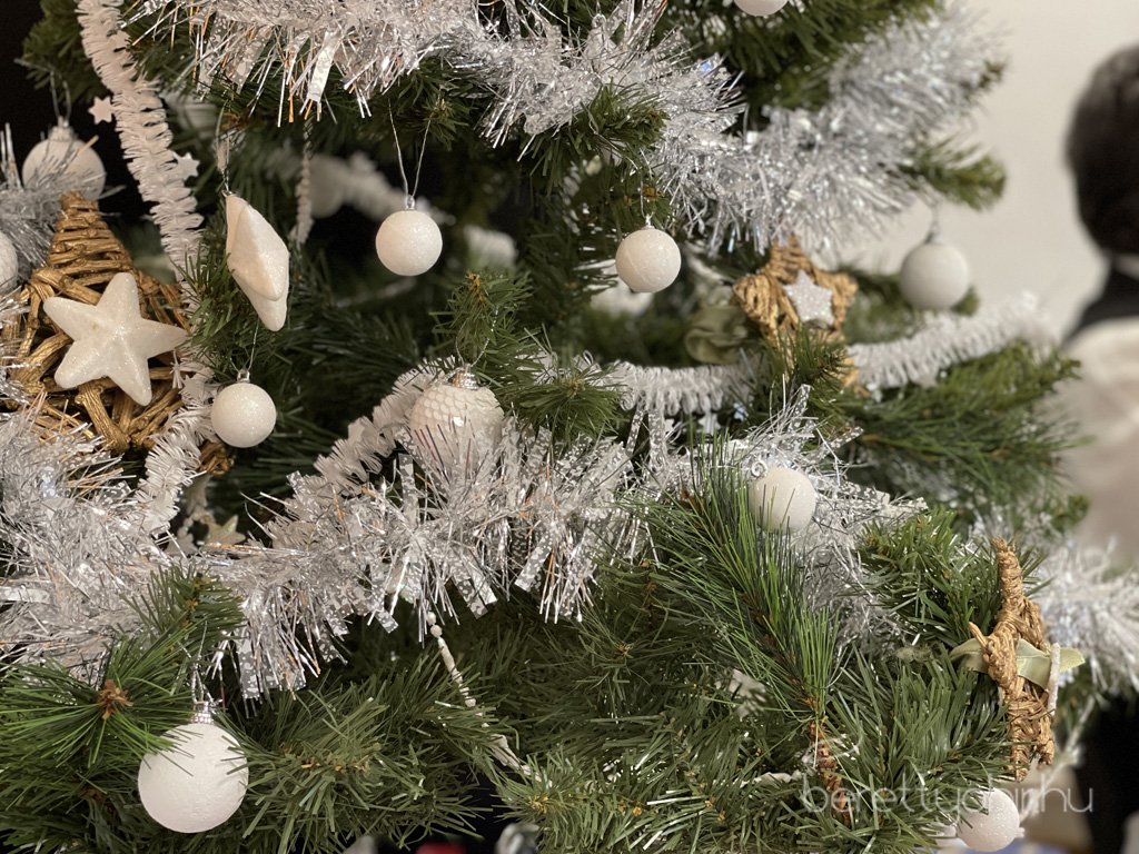 bihari_csaladsegito_karacsony27