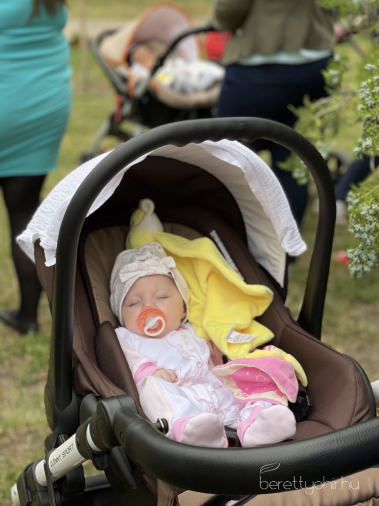 Negyedik_alkalommal_ultettunk_Eletfat14