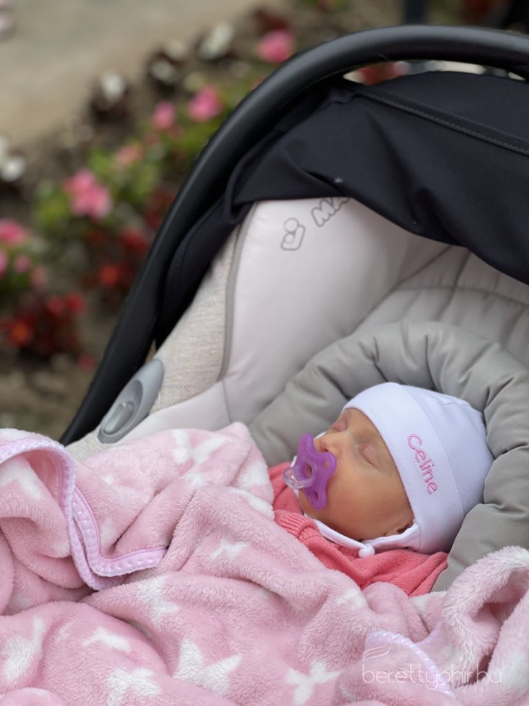 Negyedik_alkalommal_ultettunk_Eletfat57