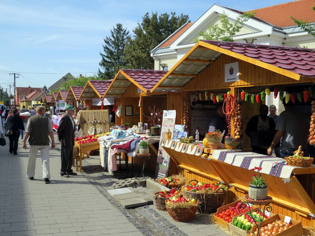Megyei Közfoglalkoztatási Kiállítás 032