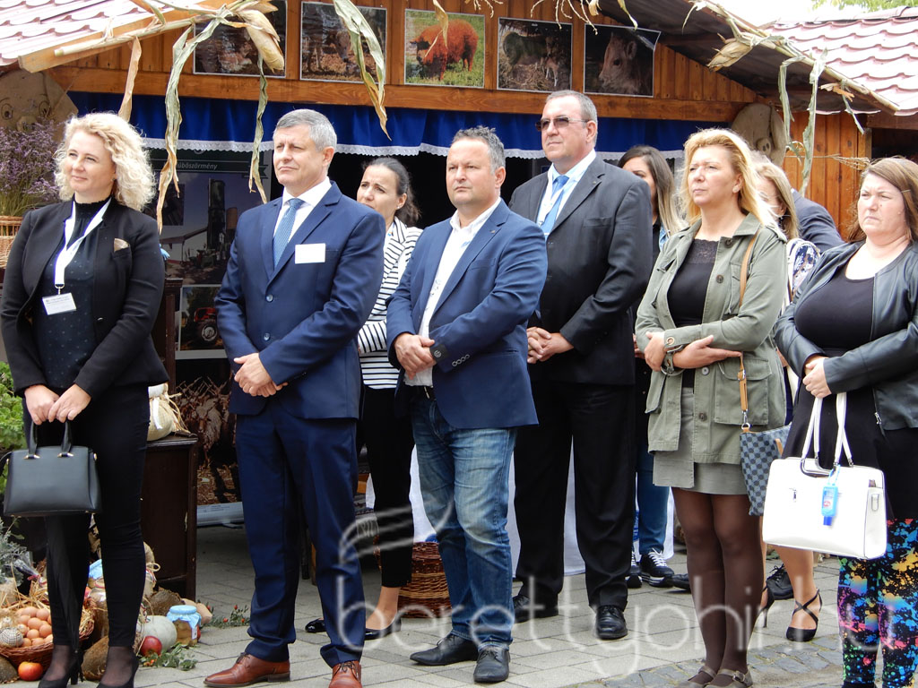 Helyi Értékek Startja 14