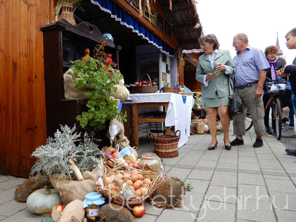 Helyi Értékek Startja 17