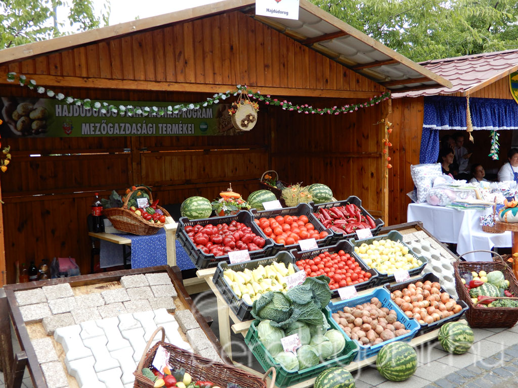 Helyi Értékek Startja 40