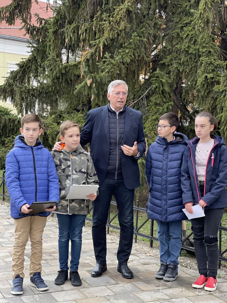 kicsinagykovet_fajat_ultettunk_01