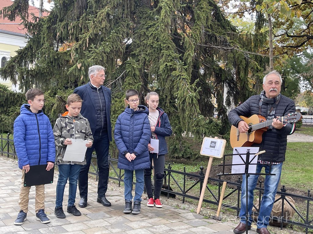 kicsinagykovet_fajat_ultettunk_03