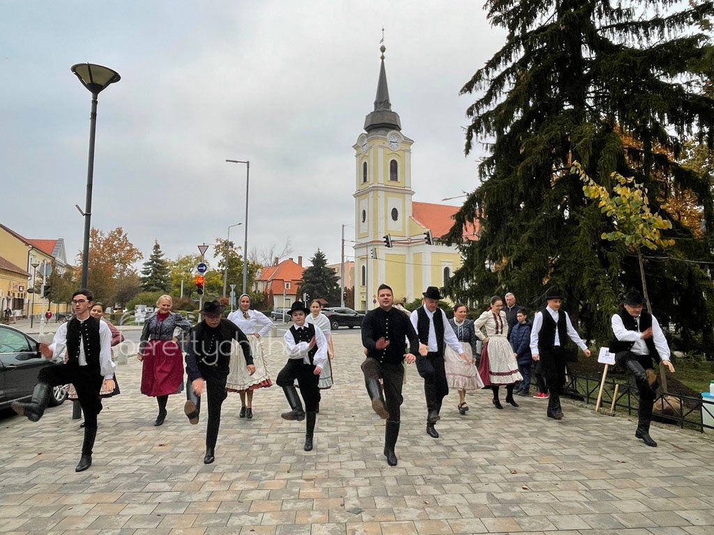 kicsinagykovet_fajat_ultettunk_12