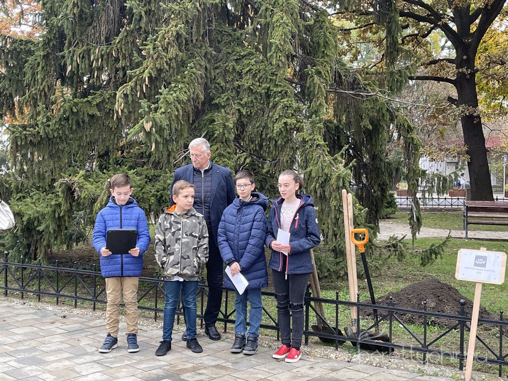 kicsinagykovet_fajat_ultettunk_14