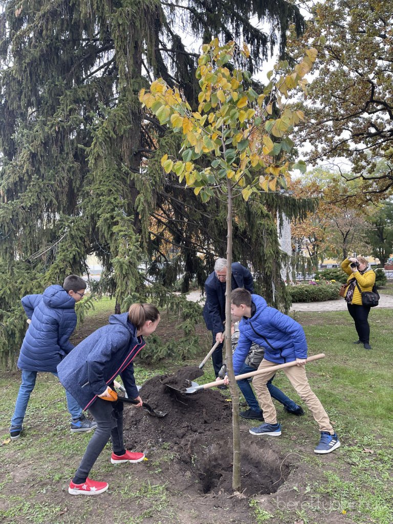 kicsinagykovet_fajat_ultettunk_15