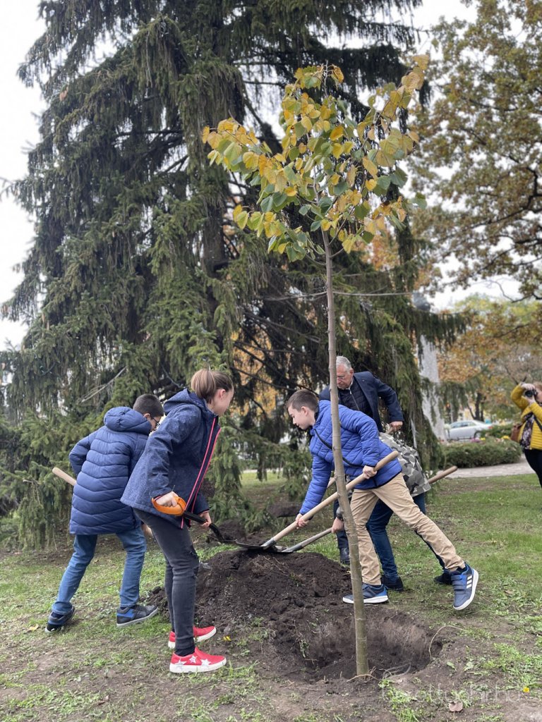 kicsinagykovet_fajat_ultettunk_16