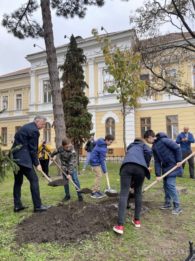 kicsinagykovet_fajat_ultettunk_17