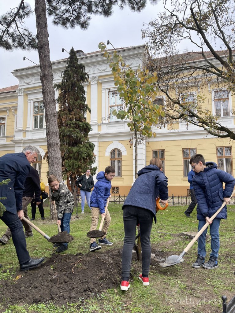 kicsinagykovet_fajat_ultettunk_18