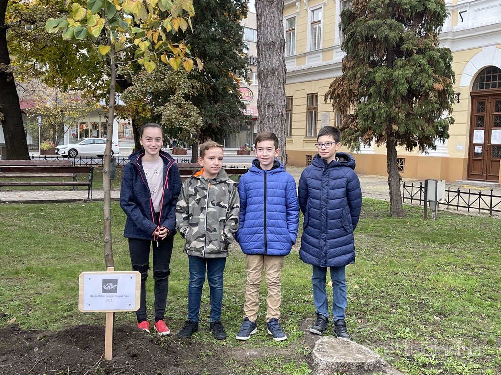 kicsinagykovet_fajat_ultettunk_19