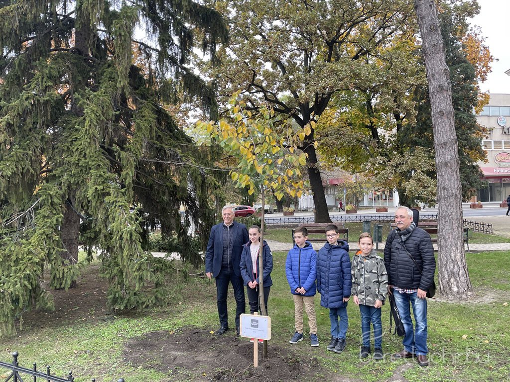 kicsinagykovet_fajat_ultettunk_20