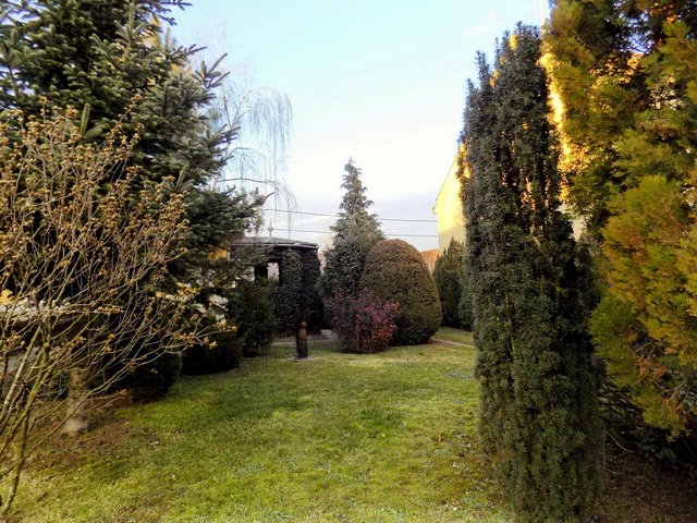 Kurucz_Imre_-fotok_Nagy_Sandor_(1)