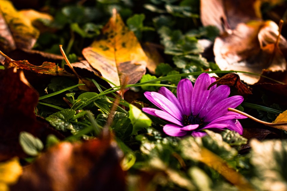 naptarfoto_palyazat18