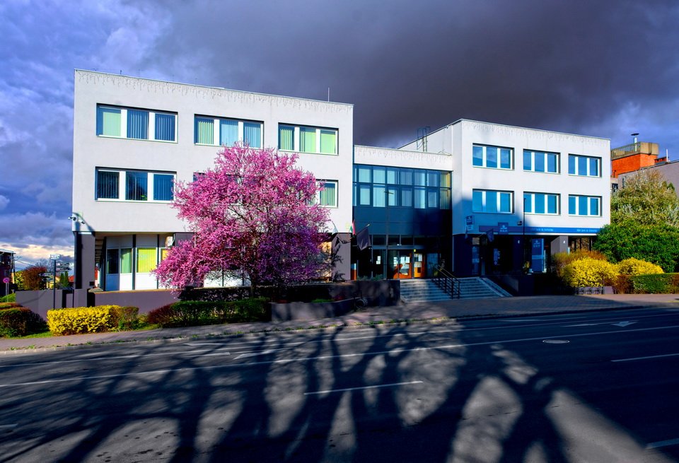 naptarfoto_palyazat20