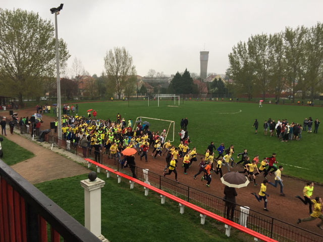 Nárcisz futás 2017 01