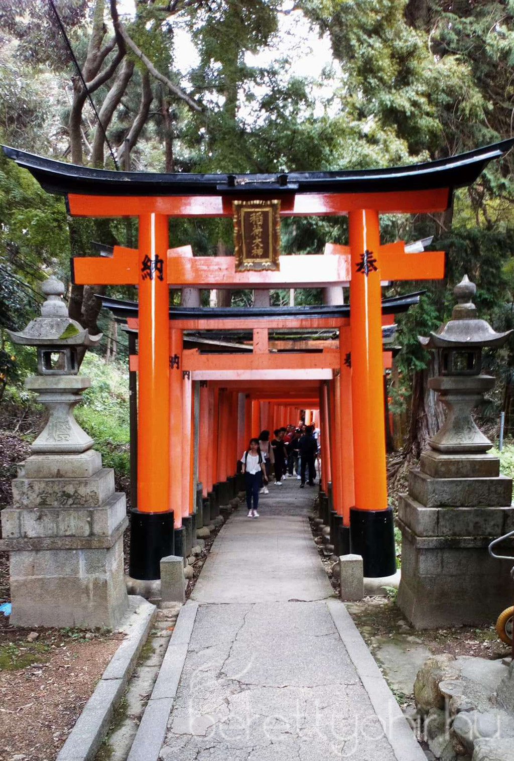 Egy álom valóra vált   Seba Japánban 04