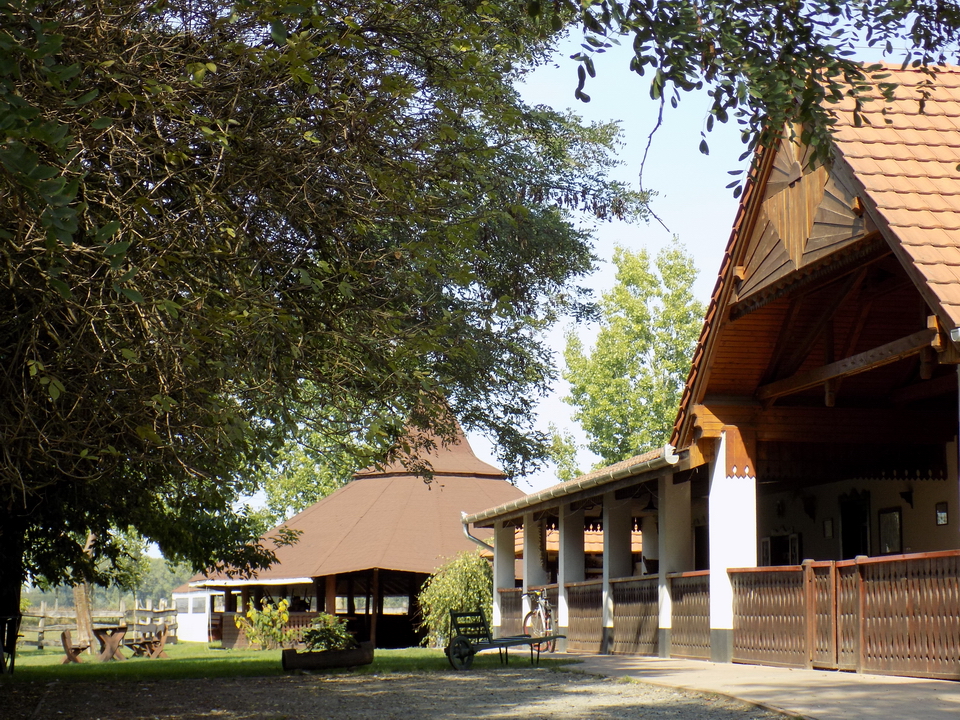 2018 szasz tanya (24)