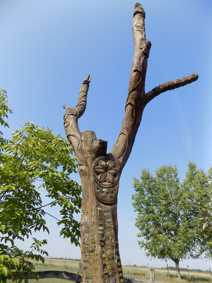 2018 szasz tanya (6)