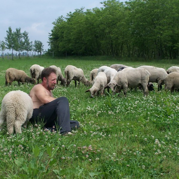 foto maganarchivum 7