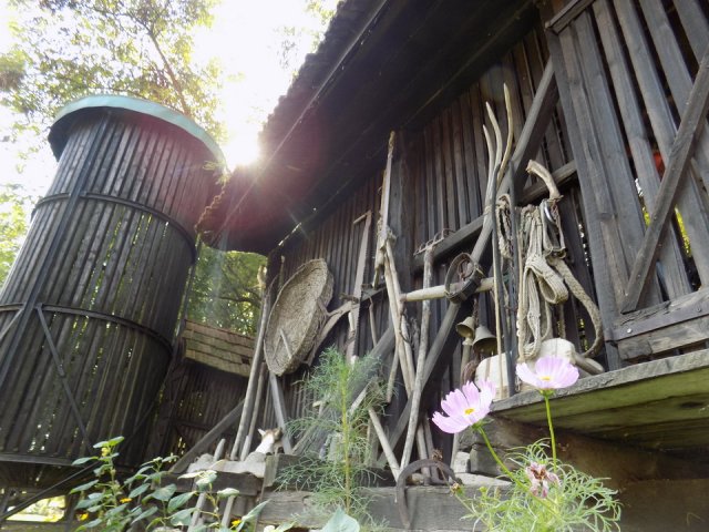 2018_-_szasz_tanya_(10)