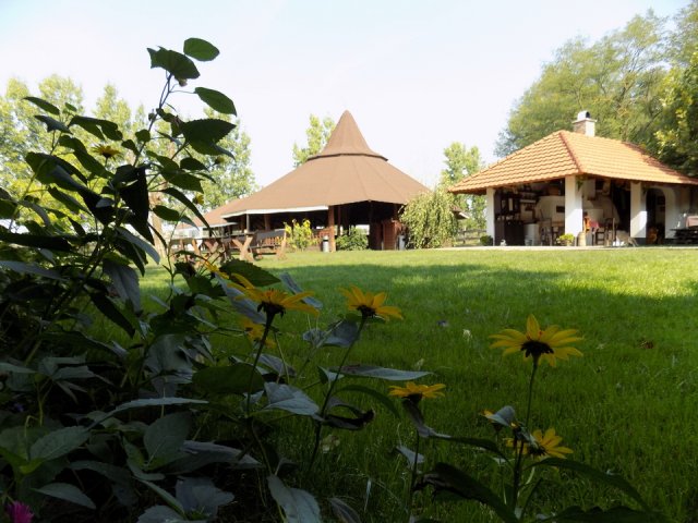 2018_-_szasz_tanya_(11)