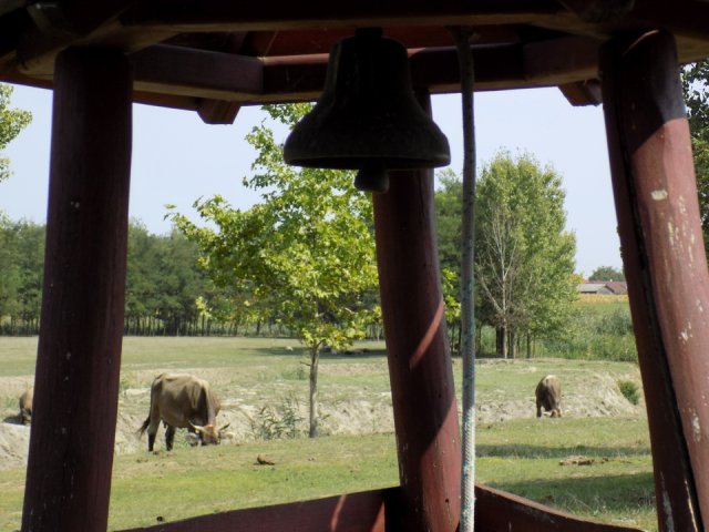 2018_-_szasz_tanya_(14)