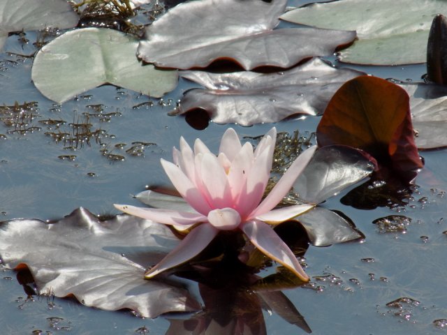 2018_-_szasz_tanya_(16)