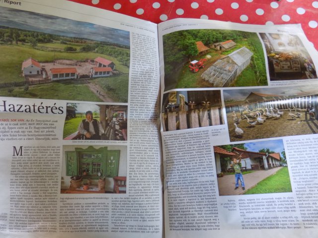 2018_-_szasz_tanya_(20)