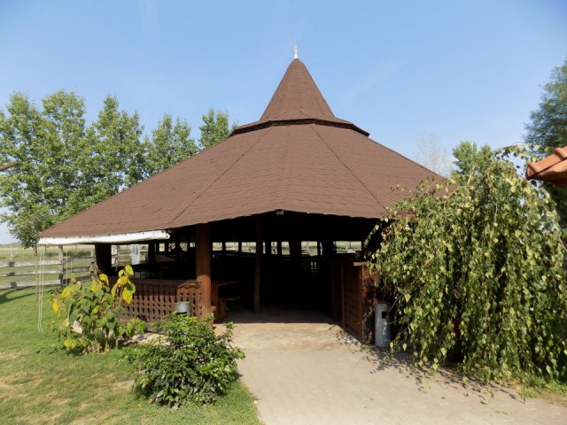 2018_-_szasz_tanya_(5)