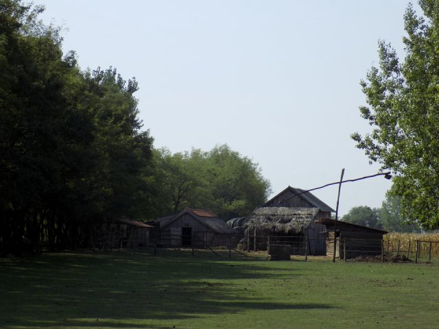 2018_-_szasz_tanya_(9)