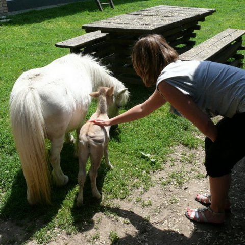 foto_maganarchivum_1