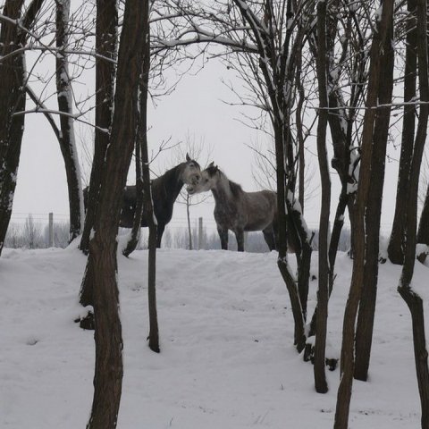 foto_maganarchivum_7_(1)