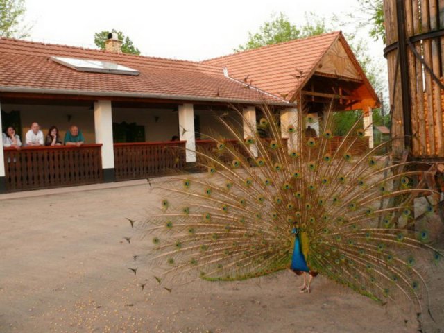 foto_nemzeti_videkstrategia