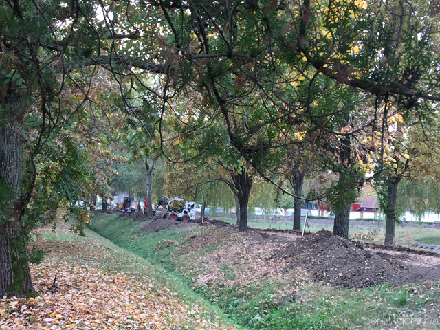 Szépül városunk 09