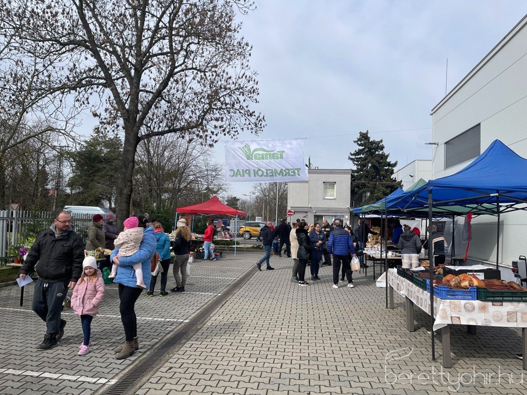 ujra_Tama_termeloi_vasar_06