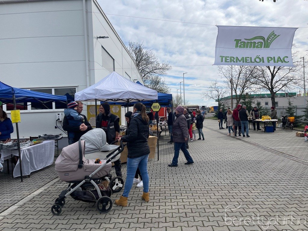 ujra_Tama_termeloi_vasar_16