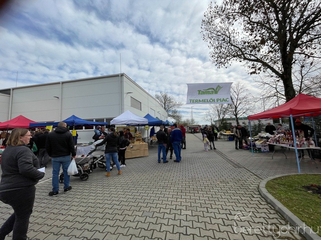 ujra_Tama_termeloi_vasar_17