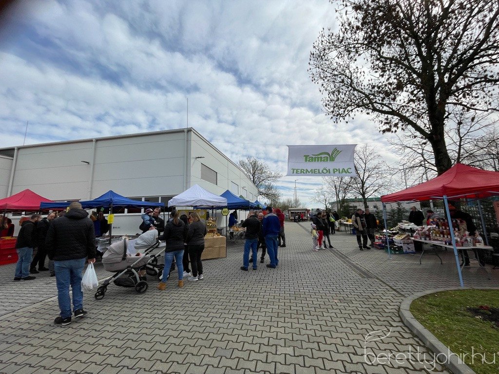 ujra_Tama_termeloi_vasar_18