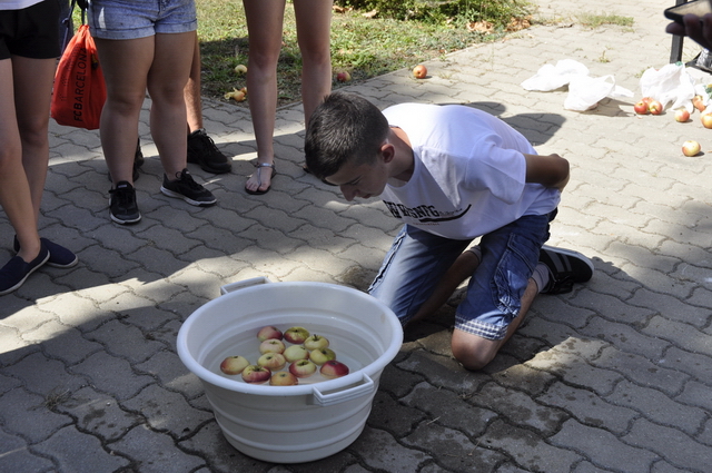 Verébavató az Aranyban 2017 07