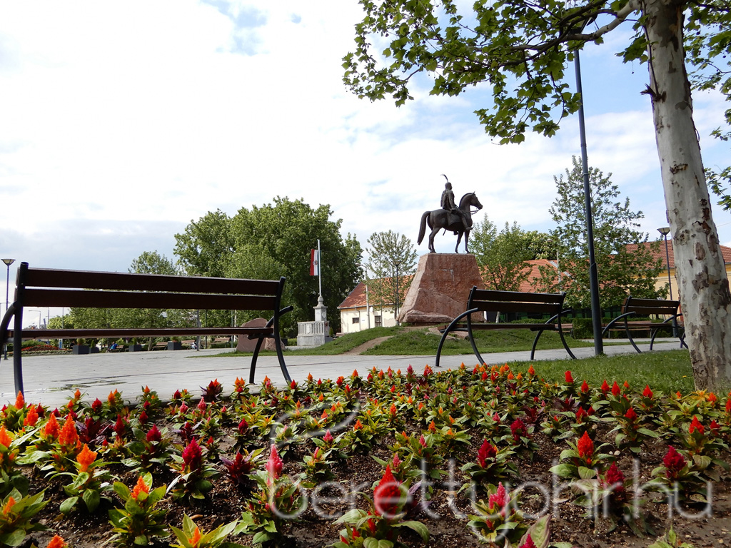 Virágos Berettyóújfalu 07